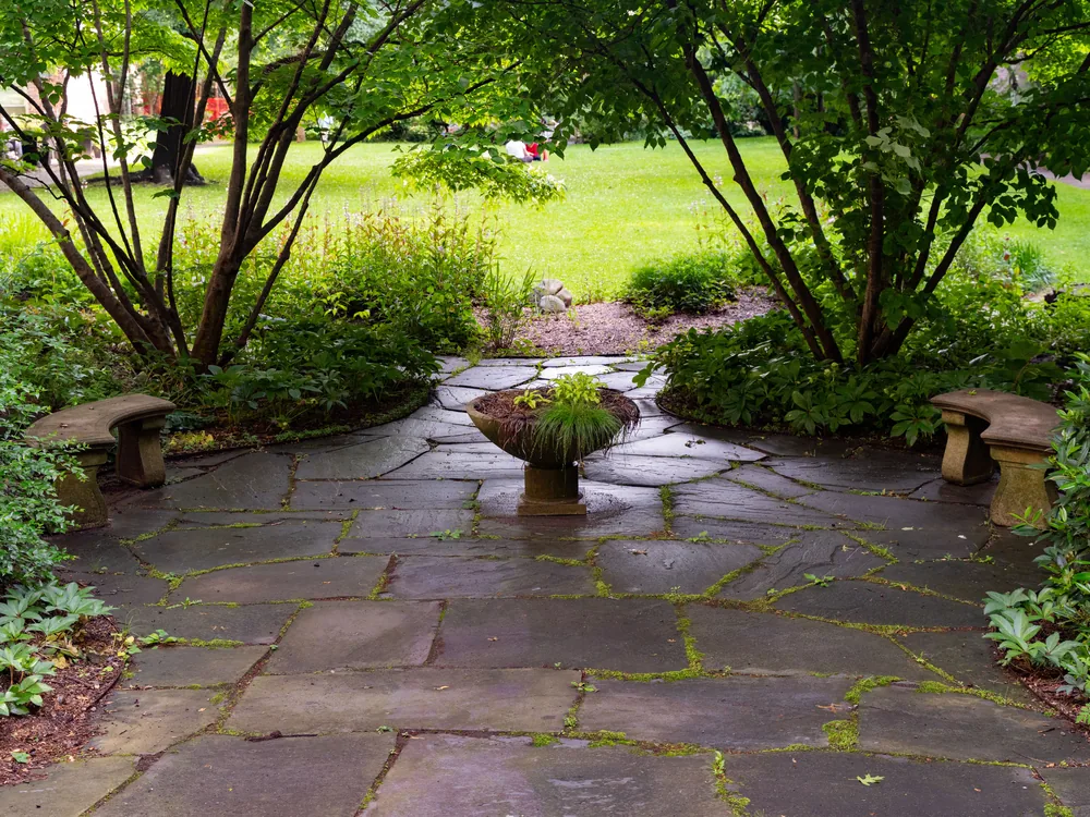 The finished terrace and planting on the rebuilt bank